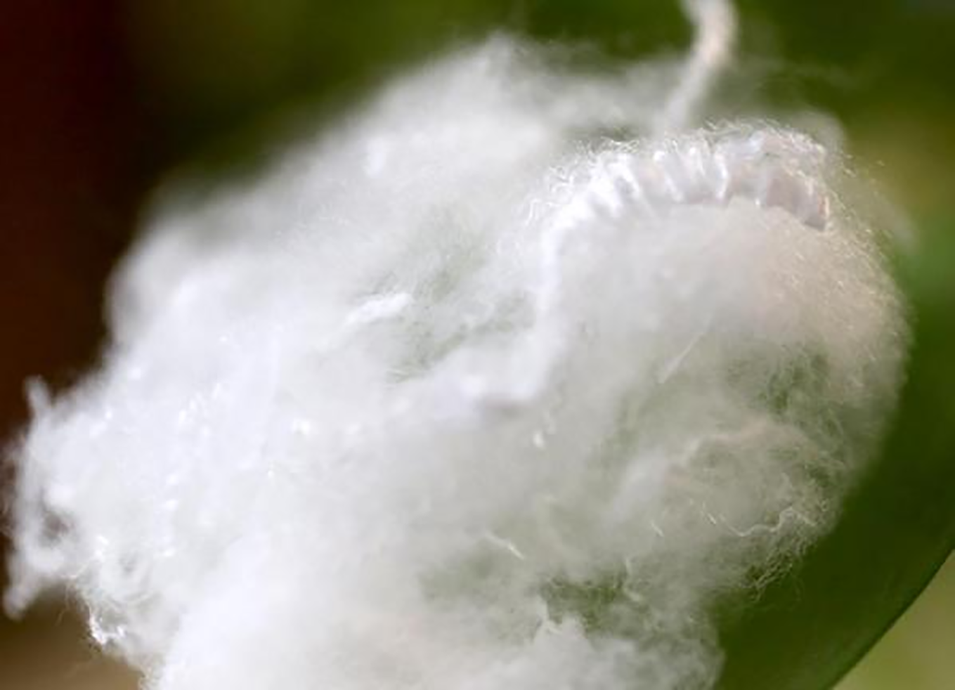 涤纶短纤纺丝在线检测系统| 化“检”为简，智控质量